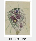 PK1889_um5.jpg