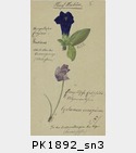 PK1892_sn3.jpg