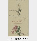 PK1892_sn4.jpg