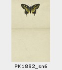 PK1892_sn6.jpg