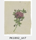 PK1892_sn7.jpg