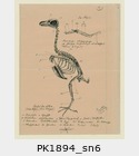 PK1894_sn6.jpg