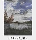 PK1895_sn3.jpg