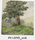 PK1895_sn6.jpg