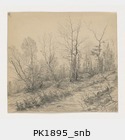 PK1895_snb.jpg