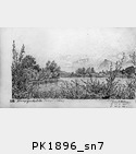 PK1896_sn7.jpg