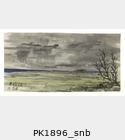 PK1896_snb.jpg