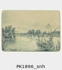 PK1896_snh.jpg