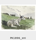 PK1896_sni.jpg