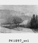 PK1897_sn1.jpg