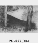PK1898_sn3.jpg