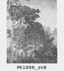 PK1898_sn8.jpg