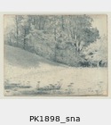 PK1898_sna.jpg