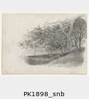 PK1898_snb.jpg