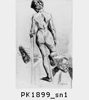 PK1899_sn1.jpg