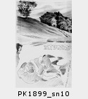 PK1899_sn10.jpg