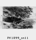 PK1899_sn11.jpg