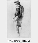PK1899_sn12.jpg