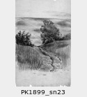 PK1899_sn23.jpg