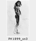 PK1899_sn3.jpg