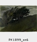 PK1899_sn6.jpg