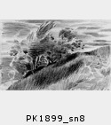 PK1899_sn8.jpg