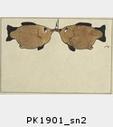 PK1901_sn2.jpg