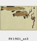 PK1901_sn3.jpg