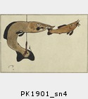 PK1901_sn4.jpg