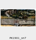 PK1901_sn7.jpg
