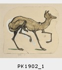 PK1902_1.jpg