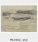 PK1902_sn2.jpg