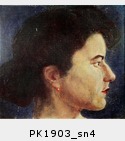 PK1903_sn4.jpg