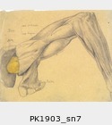 PK1903_sn7.jpg