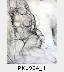 PK1904_1.jpg