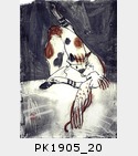 PK1905_20.jpg