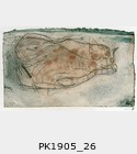 PK1905_26.jpg