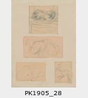 PK1905_28.jpg