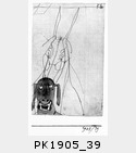PK1905_39.jpg