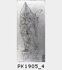 PK1905_4.jpg