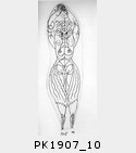 PK1907_10.jpg