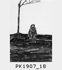 PK1907_18.jpg