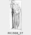 PK1908_37.jpg