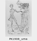 PK1908_uma.jpg