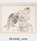PK1908_ume.jpg