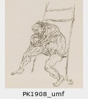 PK1908_umf.jpg