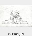 PK1909_19.jpg