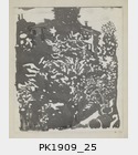 PK1909_25.jpg