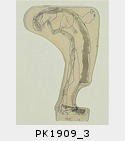 PK1909_3.jpg