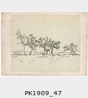 PK1909_47.jpg